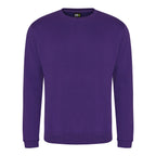 RX301 Sweatshirt